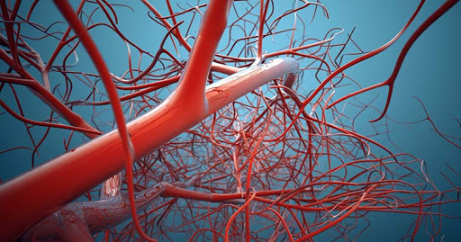 [Ленни Россоловски] Повышение тонуса сосудов. Снят_0.jpg